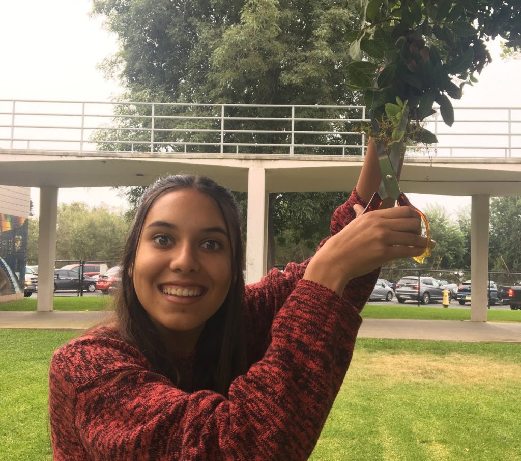 Maya Chari