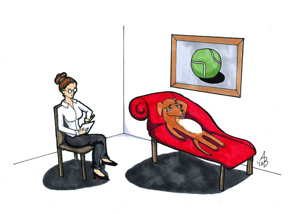 CaptionContestTherapyDogColor