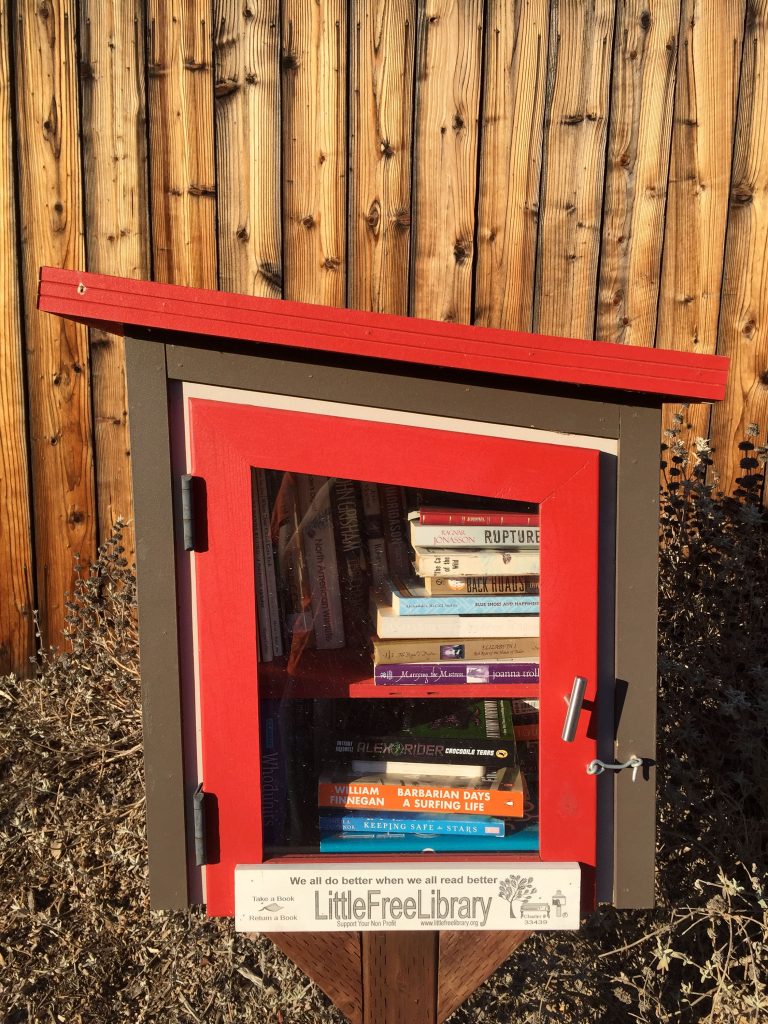 little free library