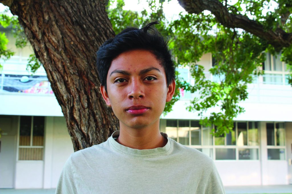 Luis edited