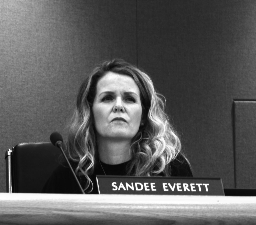 sandee everett 1
