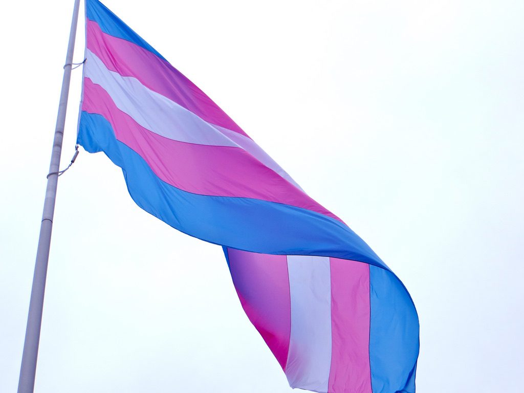 Trans flag